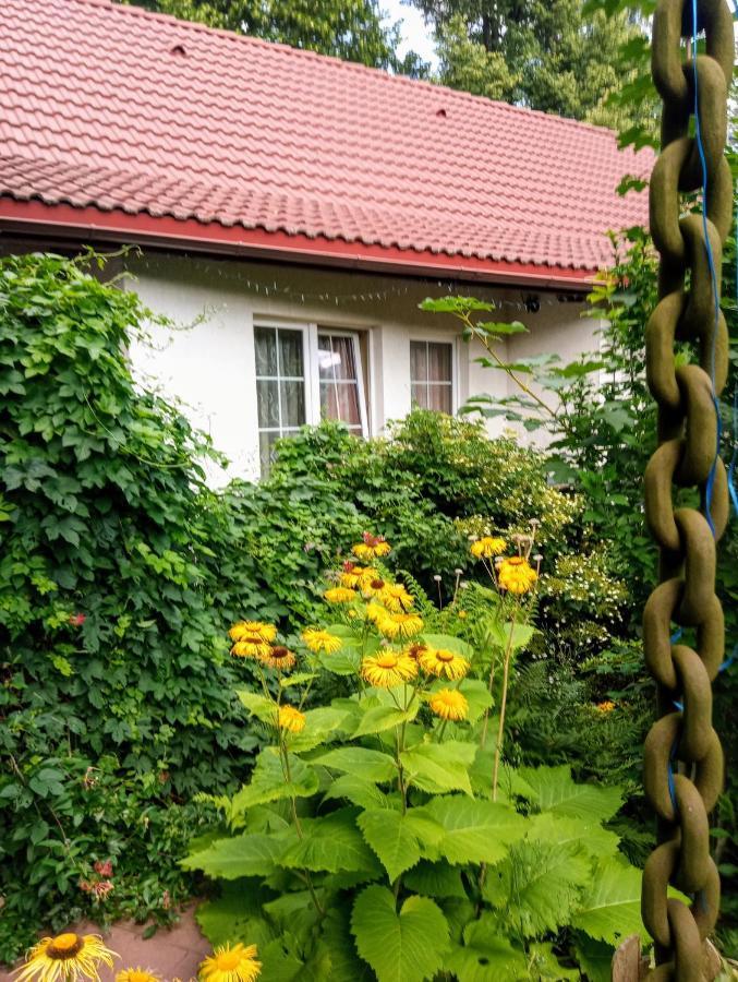 Bialy Dom Aparthotel Sciegny Bagian luar foto